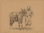 Anier de Beyrouth<br>Bida, Alexandre
