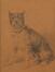 Bouledogue<br>Lambert, Eugène