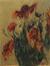 Bloemen (rode echinacea)
