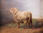 Étude de mouton<br>Tschaggeny, Edmond