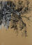 Alexandra Gaudechaud, Zonder titel (Boom) (verso), 2010, 103 x 73 cm, ULB-C-AMC-0090© Collectie moderne en hedendaagse kunst ULB, foto A. Mattijs