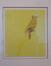 Peinture - Perroquet sur fond jaune<br>