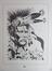 Dessin inédit - Indien<br>