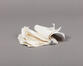 &copy; B. S. Felgenhauer © urban.brussels (OM2025_120_038), 2025