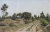 Pierre Abattucci, Route dans la campine hollandaise, huile sur toile, 1896.<br>