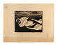 Félix Vallotton, Les cygnes, gravure sur bois, s.d<br>