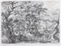 I.C. Visscher, Johannes de Doper in een boslandschap, naar Gillis D'Hondecoeter, gravure, s.d. [17de eeuw].<br>