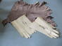Cuir et découpes de gants, s.d. [2e moitié 20e siècle].<br>