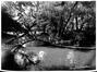 Etang au Parc Marie-José (F 2026.027)&copy; MoMuse 2026 / Verhassel