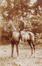 otokaart Jérôme de Smackers, Belgische soldaat te paard, verzonden vanuit Kamp de Beverlo in Sint-Jans-Molenbeek, 1913.<br>