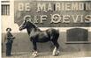 Photo Dépôt de la S.A. des charbonnages de Mariemont, commerce de charbon G. & F. Devis, Quai de Mariemont, 2-14, Chaussée de Ninove, 6 (Molenbeek-Saint-Jean), photogr. anon., 1909<br>