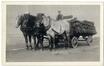 Fotokaart Kolenbezorger (van de firma Devis?) aan de Ninoofsepoort (Sint-Jans-Molenbeek), fotogr. onbekend, s.d. [circa 1910?]<br>