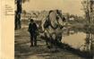 Carte-vue Haleur et cheval de halage longeant le canal de Charleroi à hauteur de Hal, éd. H. Bertels (Bruxelles), 1911.