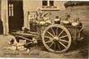 Carte-vue Laitière ambulante avec voiture tirée par un chien, s.éd., s.d.<br>