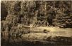 Carte-vue Parc Marie-José avec étang et bois (Molenbeek-Saint-Jean), éd. P.I.B., 1930.<br>