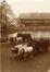 Carte photo Voiture de livraison du commerce de charbons Devis (Molenbeek-Saint-Jean), photogr. anon., s.d. [vers 1916].<br>